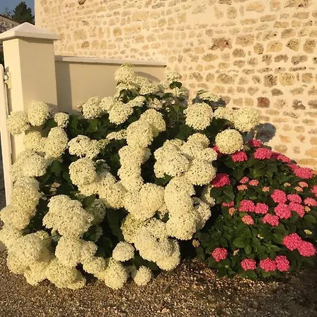 Frühstückspension Les Tournesols *
